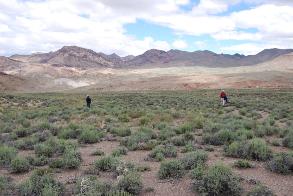 ioneer ‘confident’ in finding Rhyolite Ridge investor, at higher valuation: FT