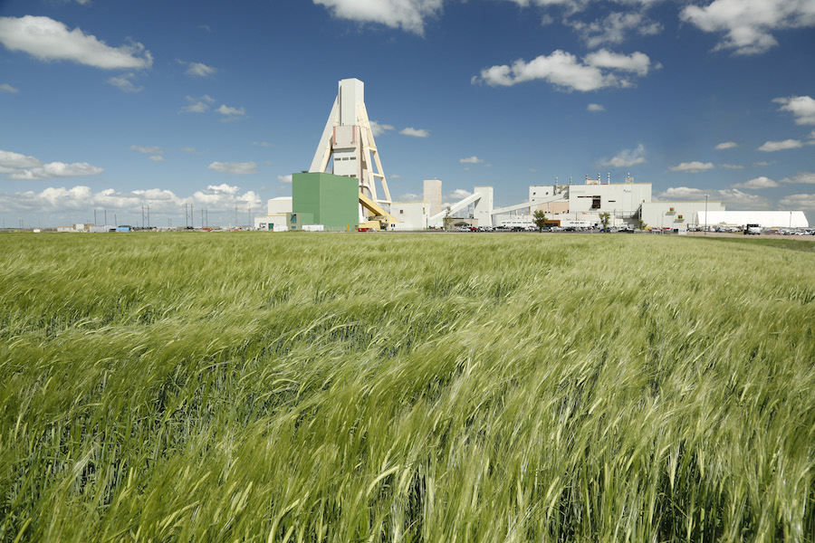 Trump push for US fertilizer won’t be enough to replace imports