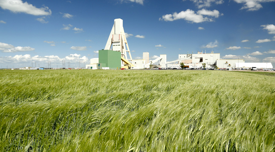 Nutrien says tariffs will lead to higher costs for US farmers
