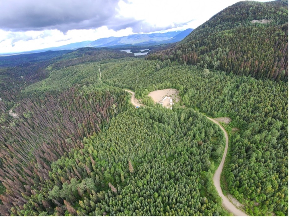 Defense Metals inks agreement with potential partner for Wicheeda REE project